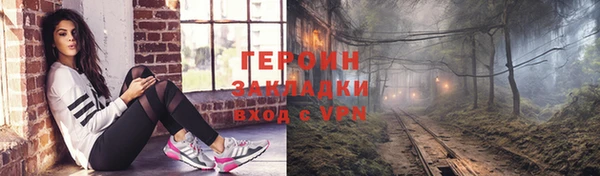 индика Инта