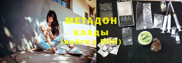 индика Инта