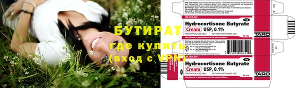 индика Инта