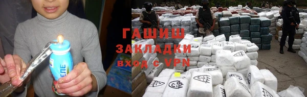 индика Инта