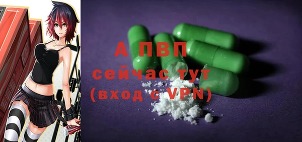 индика Инта