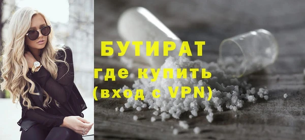 индика Инта