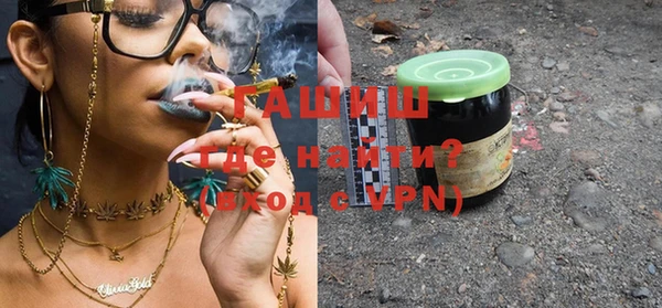 индика Инта