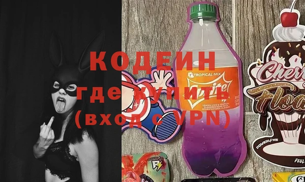 индика Инта