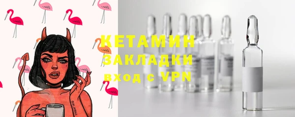 индика Инта
