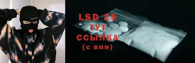 индика Инта