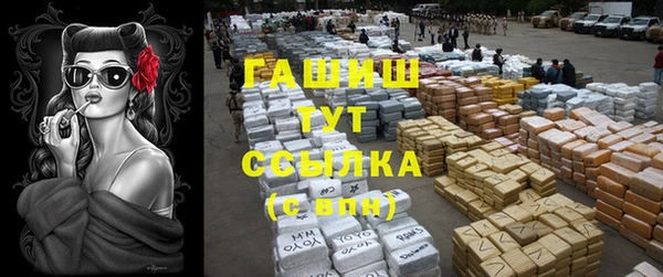 индика Инта