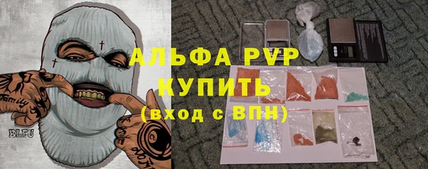 индика Инта