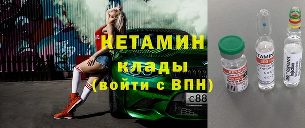 индика Инта