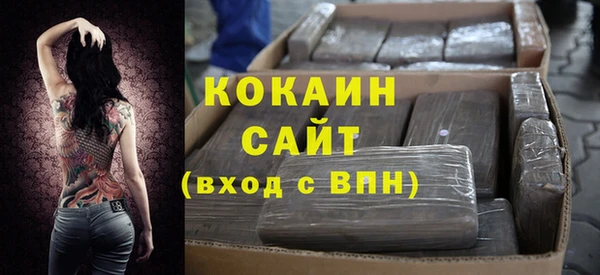 индика Инта