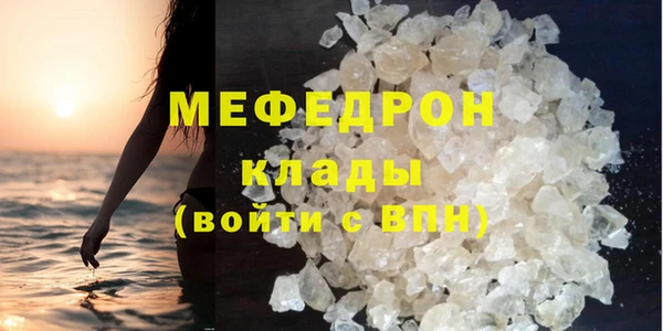 индика Инта