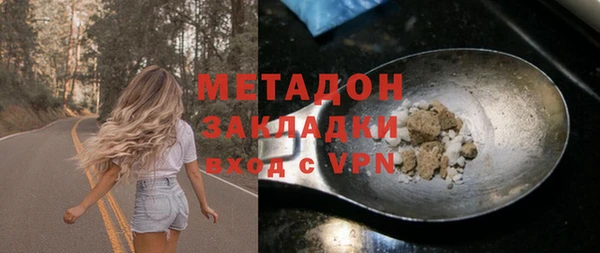 индика Инта