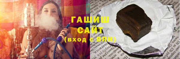 индика Инта