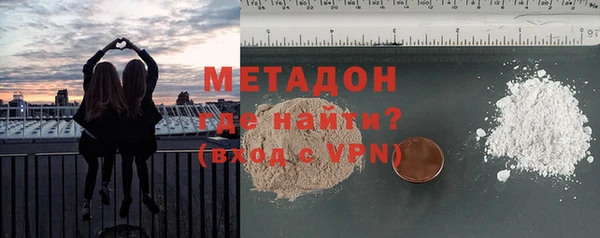 индика Инта